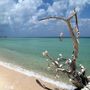 Cozumel