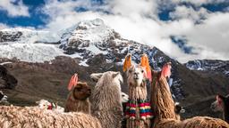Hotellihakemisto: Cusco
