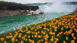 Niagara Falls-hotellit