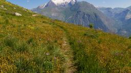 Hotellihakemisto: Les Deux-Alpes