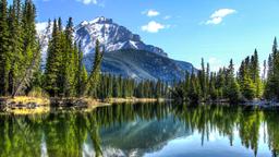 Halvat lennot Alberta