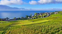 Montreux-hotellit