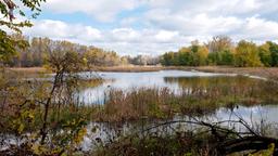 Hotellihakemisto: Eagan