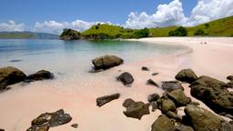 Itäinen Nusa Tenggara hotellia