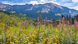 Hotellihakemisto: Crested Butte