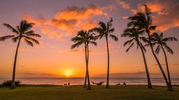 Halvat lennot Honolulu
