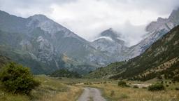 Aragonia hotellia