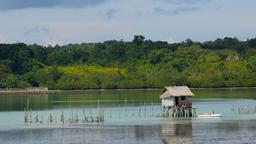 Hotellihakemisto: Tagbilaran