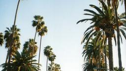 kaupungin West Hollywood hotellit