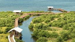 Hotellihakemisto: South Padre Island