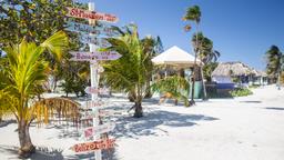 Halvat lennot Belize