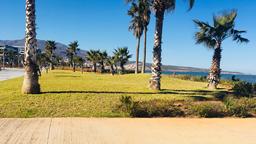 Nador autonvuokraukset