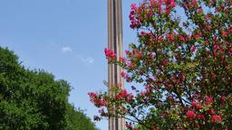 San Antonio hotellit lähellä Tower of the Americas