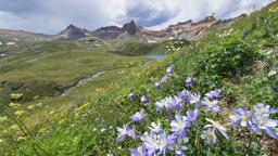 Halvat lennot Colorado