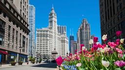 Chicago hotellit lähellä Crown Fountain