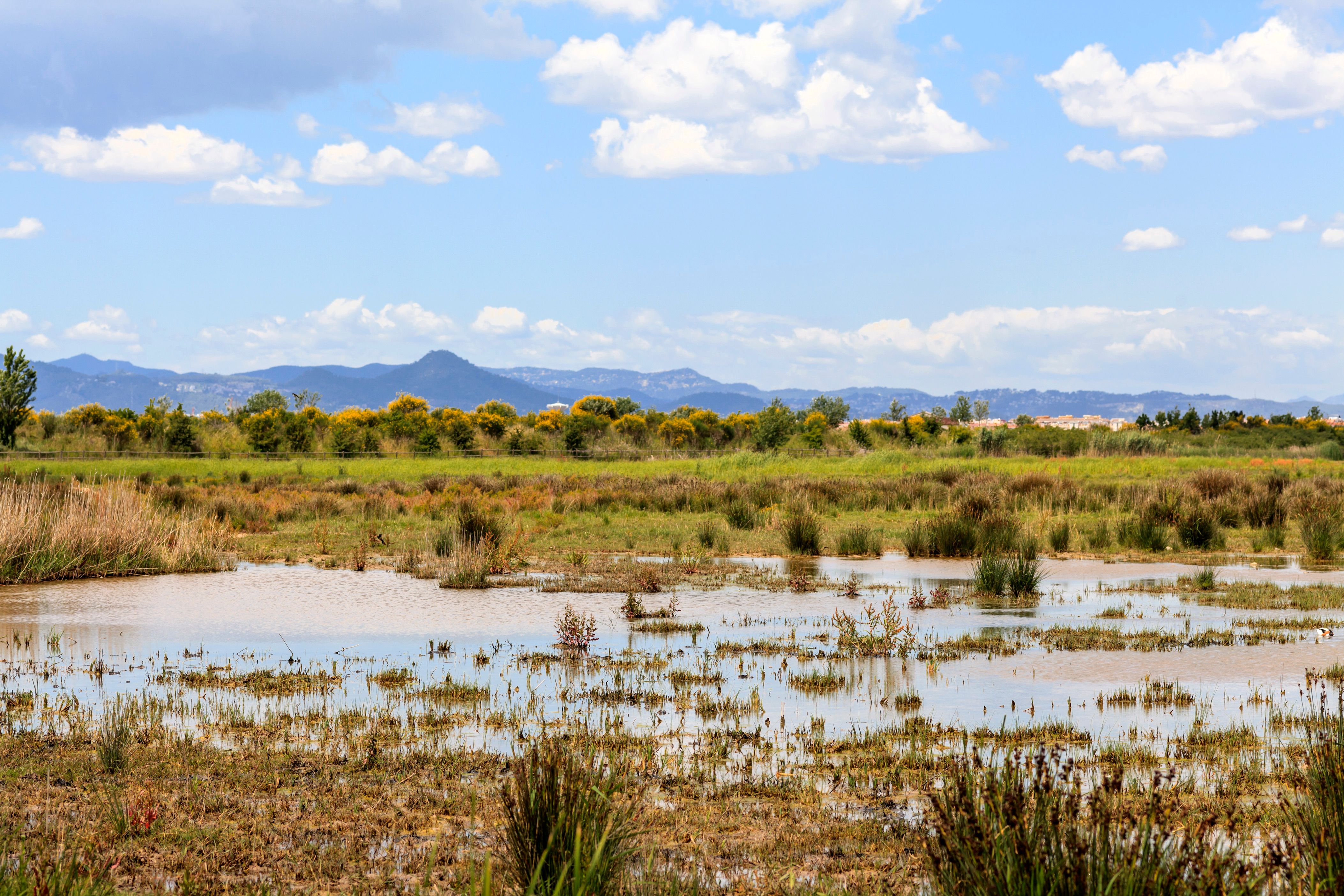 El Prat de Llobregat autonvuokraukset
