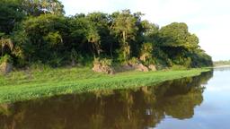 Amazonas hotellia