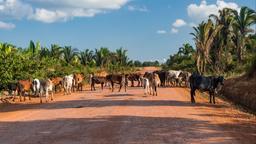 Rondônia loma-asunnot