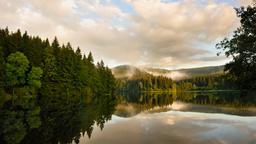 Harz hotellia