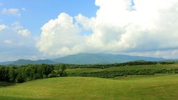 Hotellihakemisto: Dahlonega