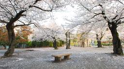 Matsumoto autonvuokraukset