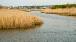 Hotellihakemisto: Secaucus