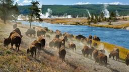 Yellowstonen kansallispuisto loma-asunnot