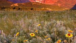 Glacier National Park hotellia