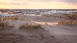 Jersey Shore hotellia