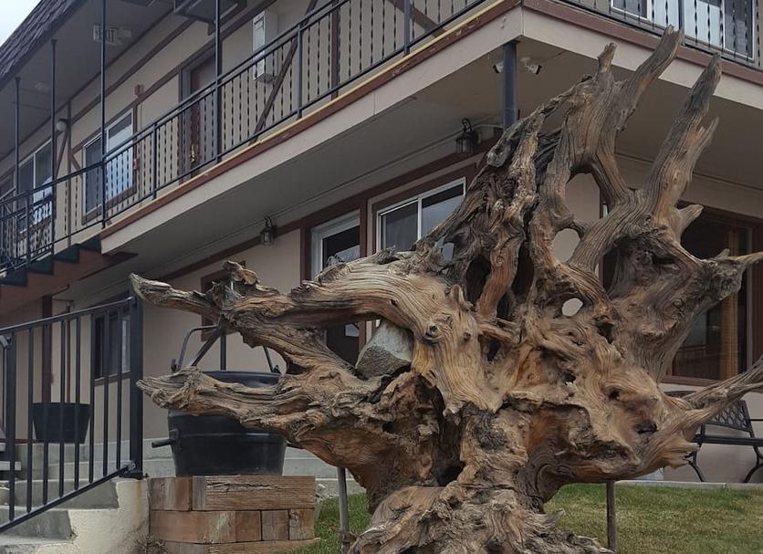 Näkymät ulkona Valokuva