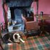 Muu