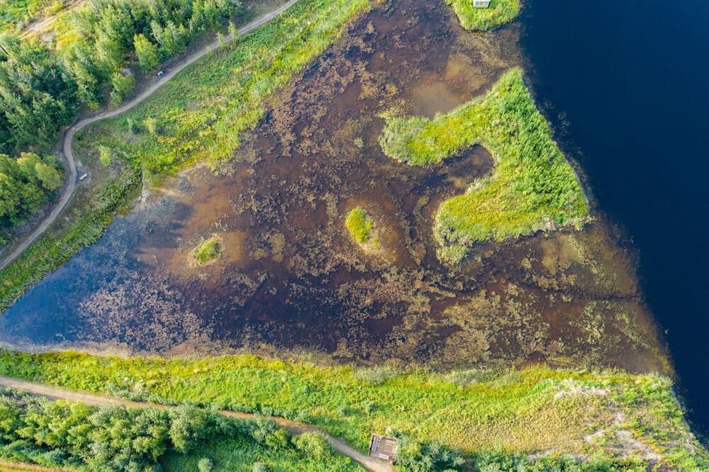 Näkymät ulkona