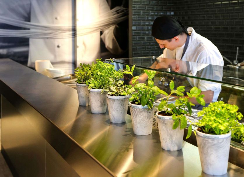 Ravintola Valokuva