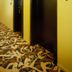 Aula