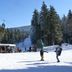 Muu