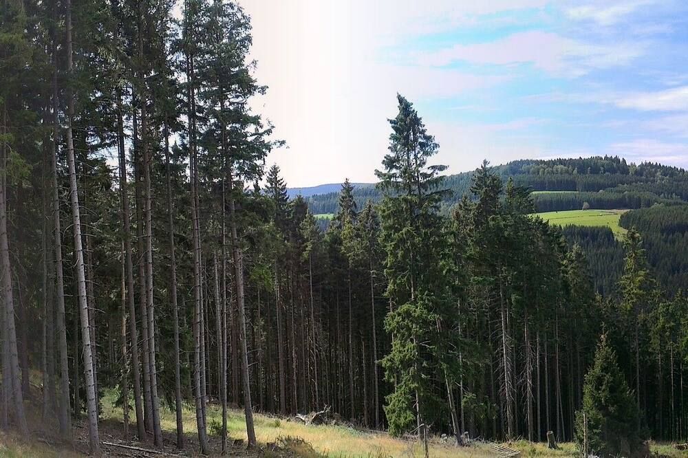 Näkymät ulkona