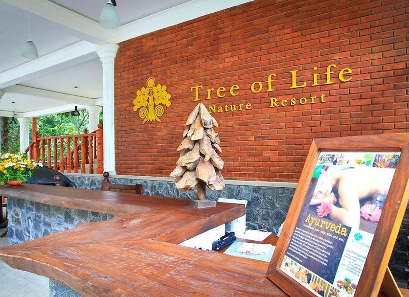 Vastaanotto Valokuva