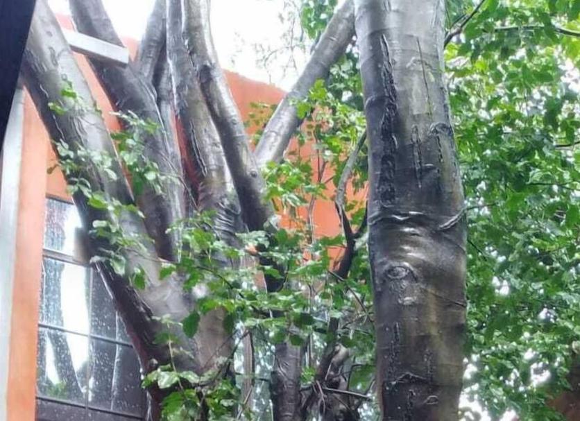 Näkymät ulkona Valokuva