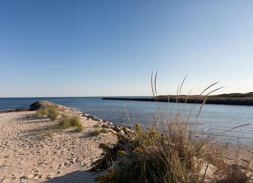 Ranta Valokuva