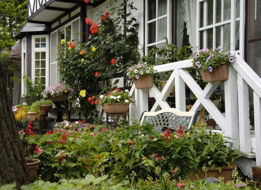 Patio Valokuva