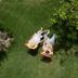 Muu