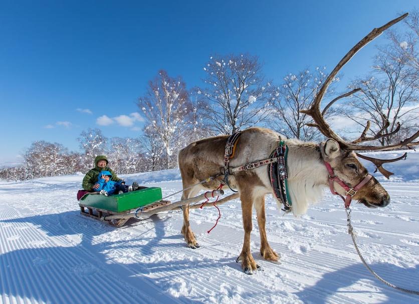 Muu Valokuva