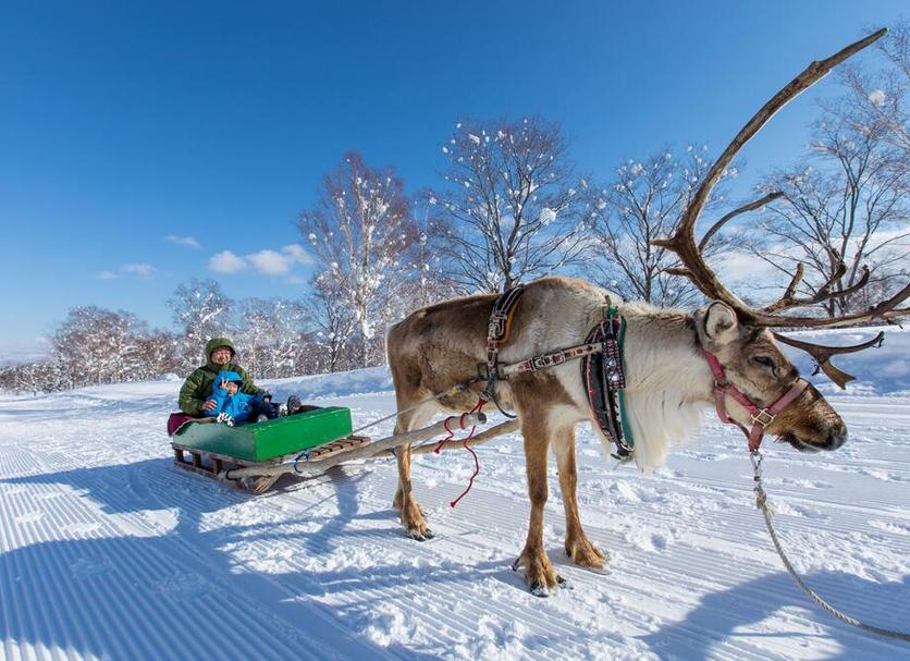 Muu Valokuva