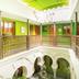 Aula