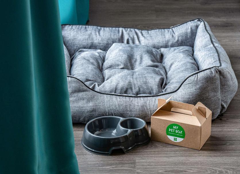 Huoneen palvelut Valokuva