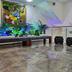 Aula