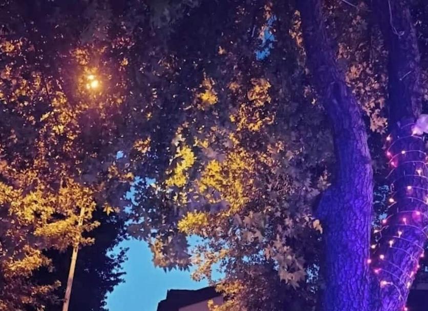 Näkymät ulkona Valokuva