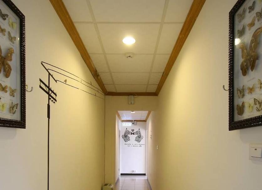 Aula Valokuva
