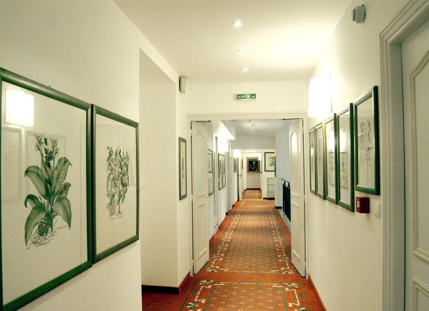 Aula Valokuva