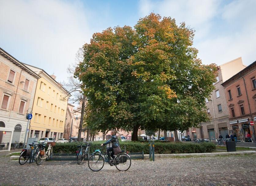 Muu Valokuva